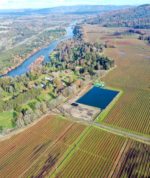 Análisis Económico Productivo sobre Activos Agrícolas y Forestales